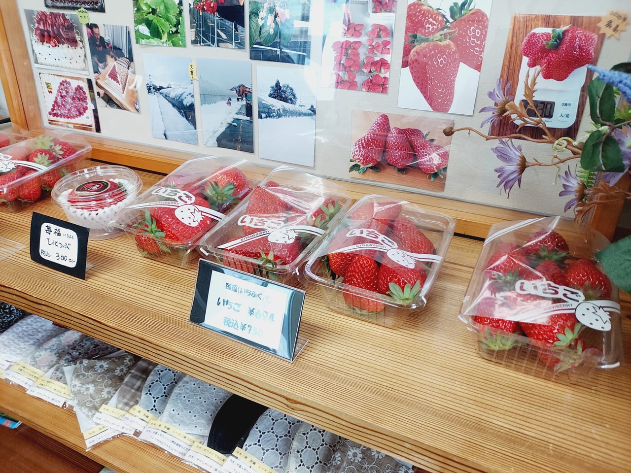 strawberry farm 苺福イチゴ