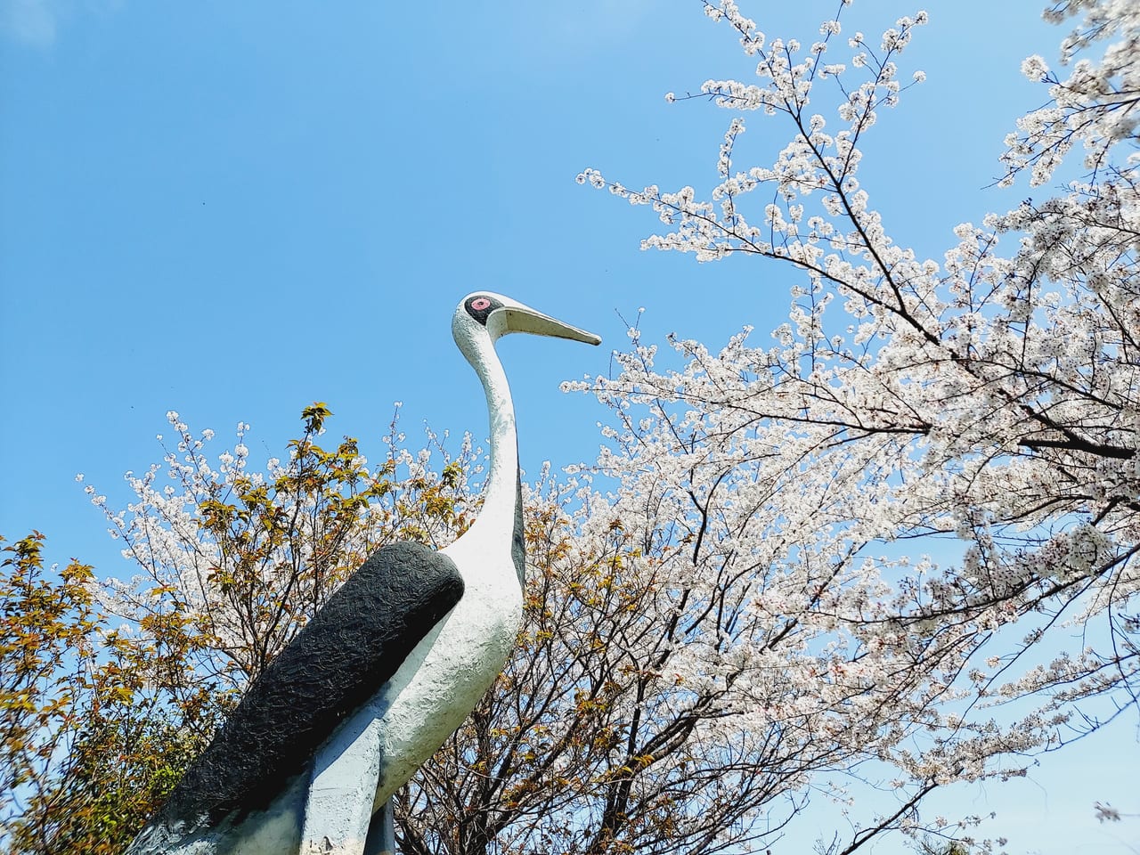 乙姫公園