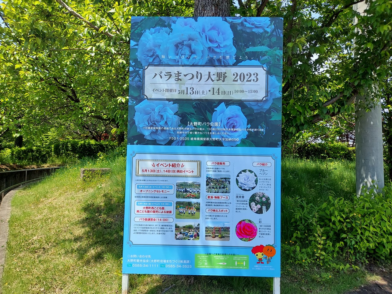 大野町バラ公園