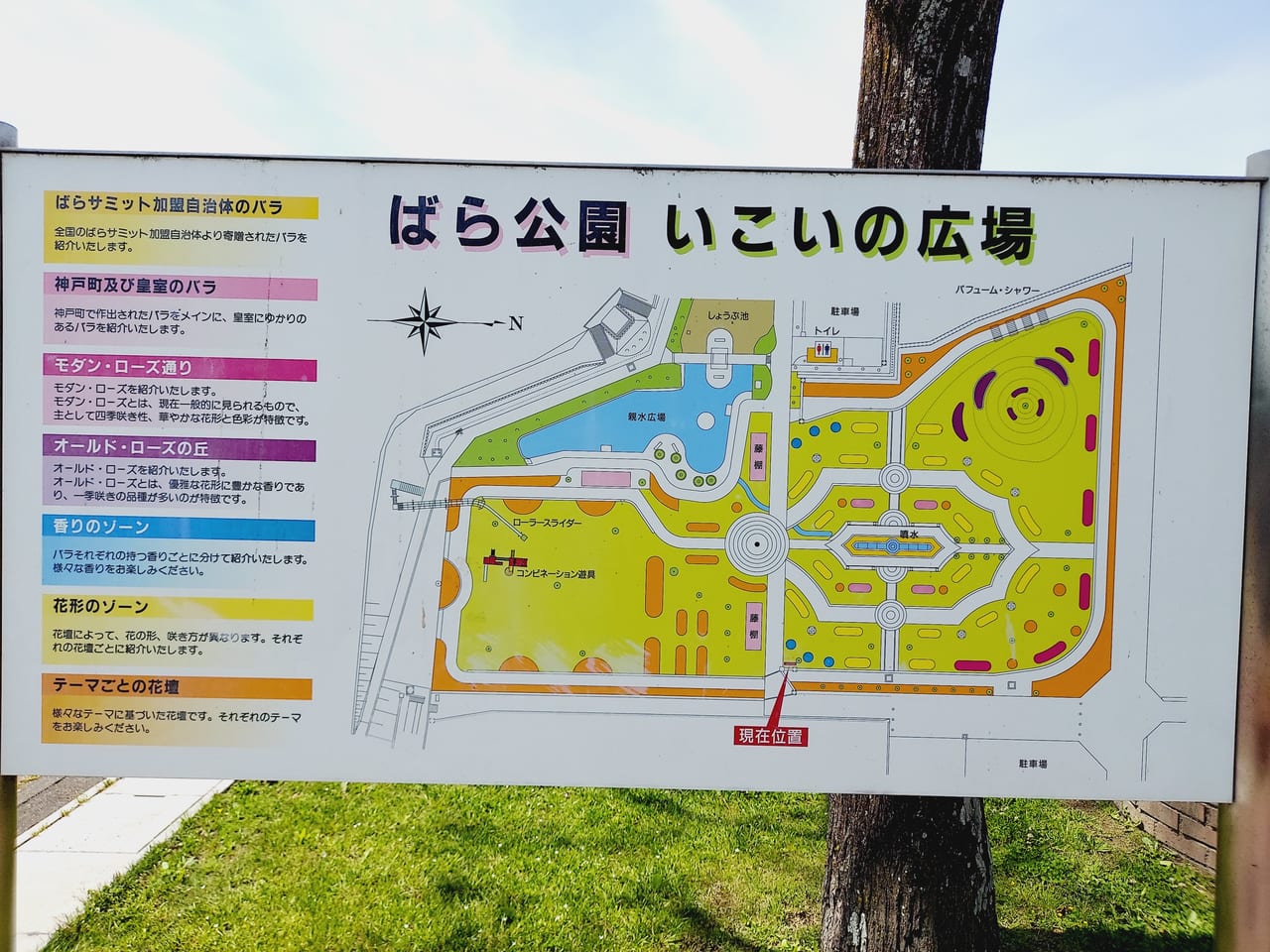 ばら公園いこいの広場案内