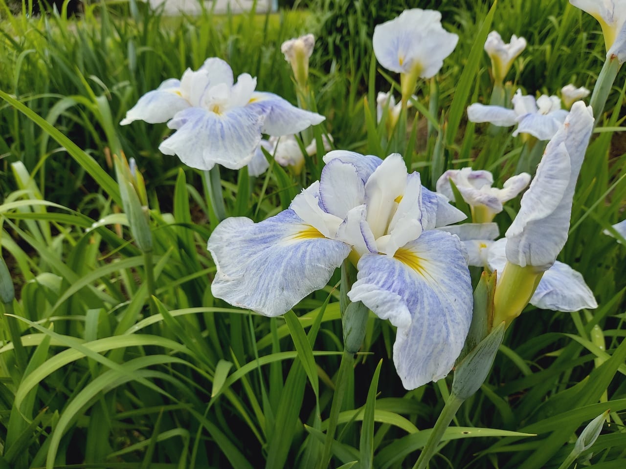 曽根城公園