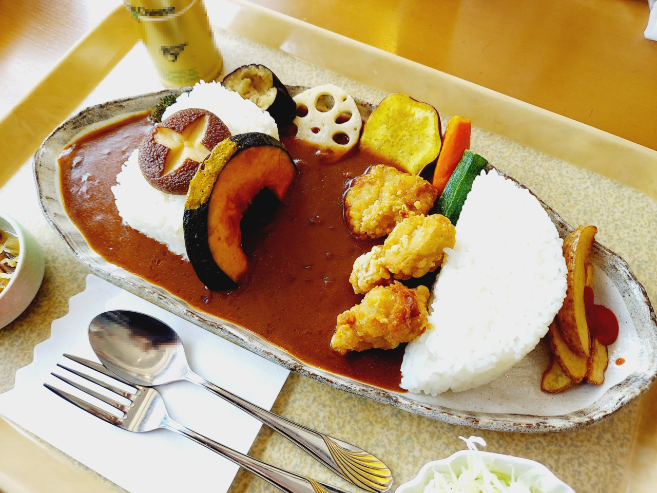 レストラン星のふる里ダムカレー