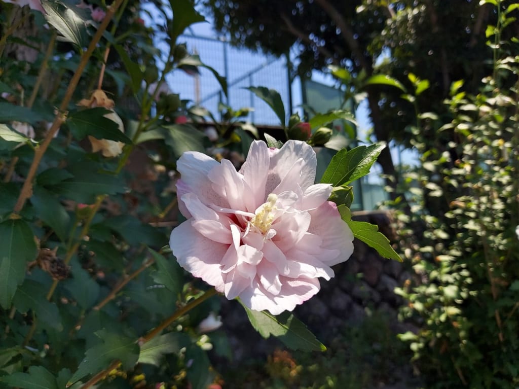 北公園