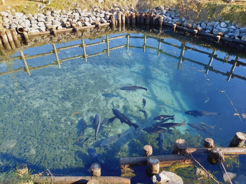 北方町がまの広場