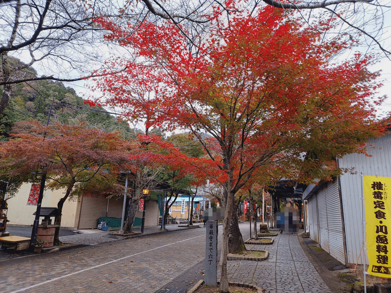 華厳寺参道紅葉