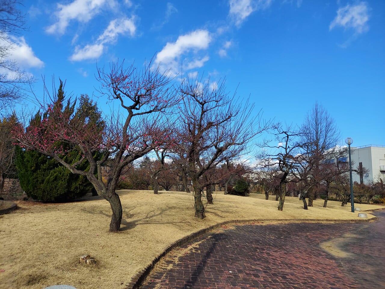 東公園