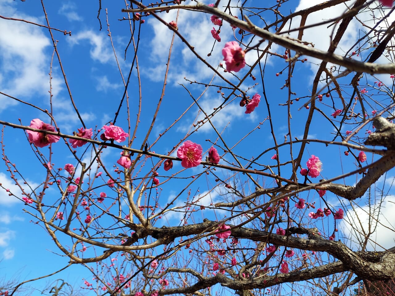 東公園