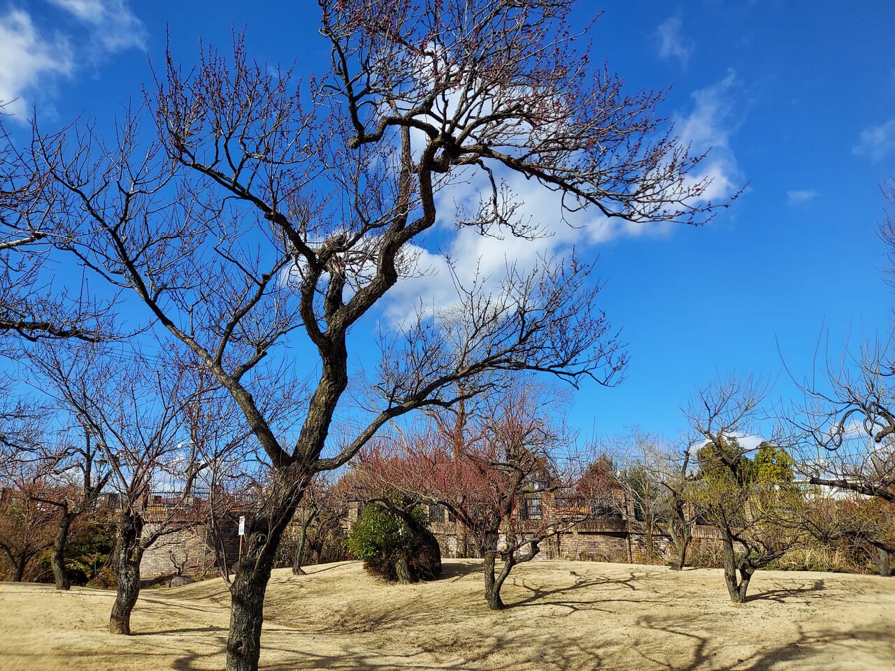 東公園