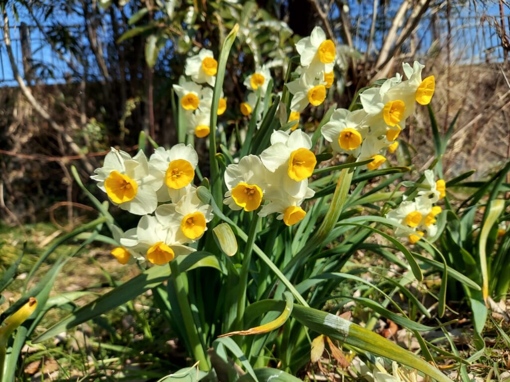杭瀬川公園