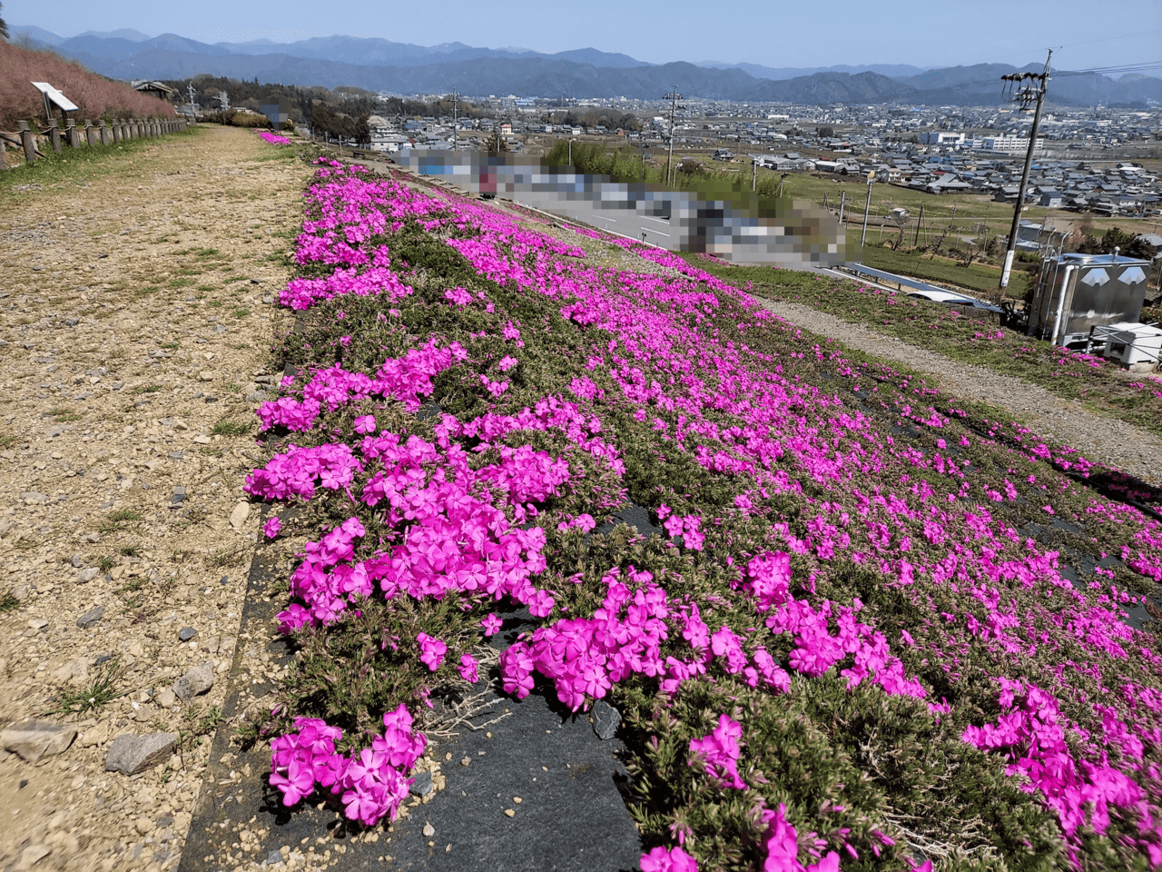 第74回池田サクラまつり