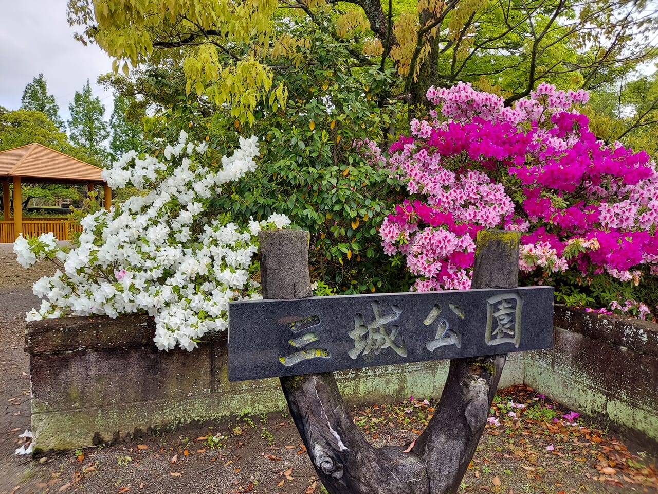 三城公園