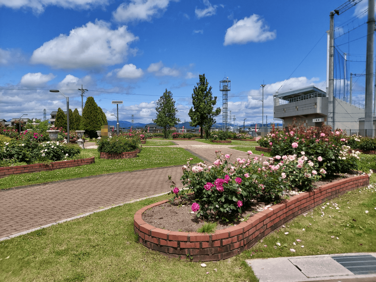 ばら公園いこいの広場