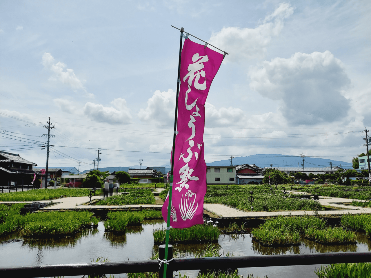 第28回曽根城公園花しょうぶ祭