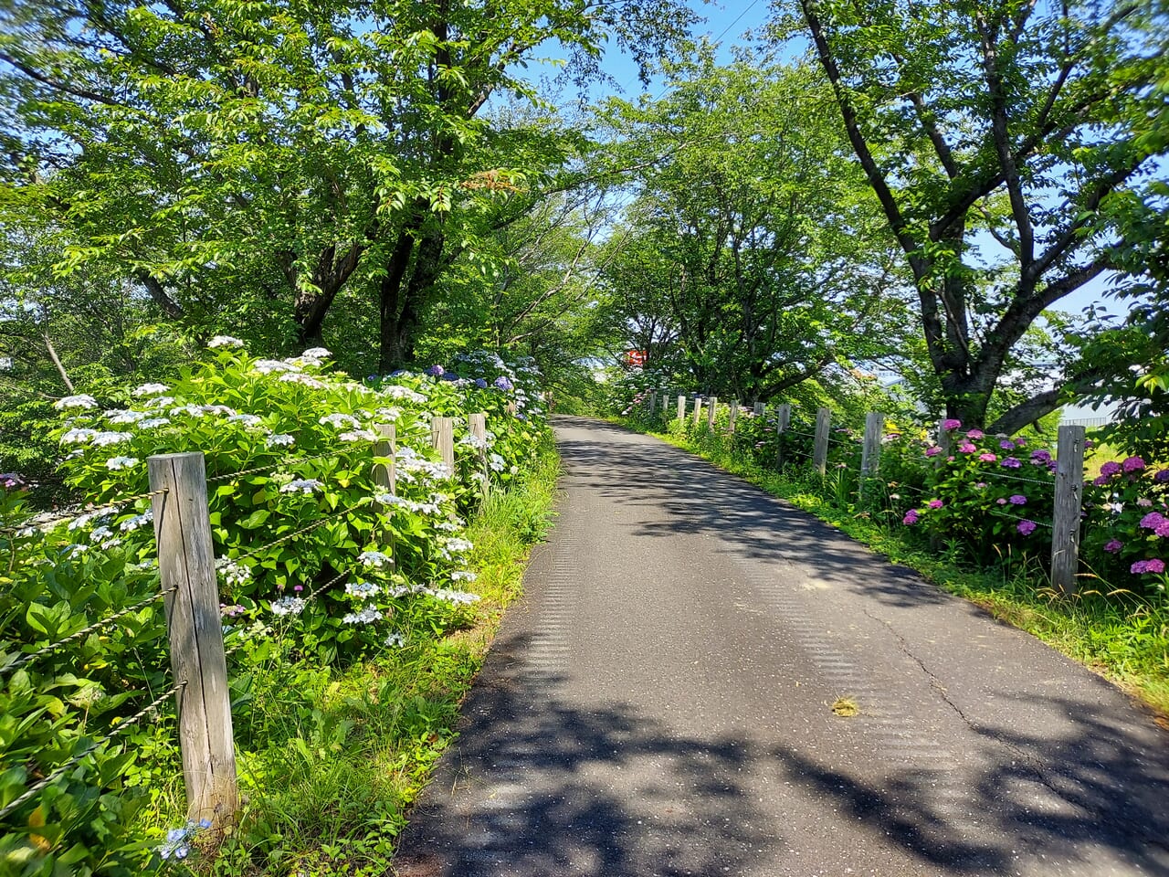 本戸輪中堤