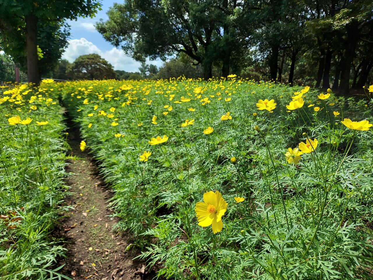 木曽三川公園センター