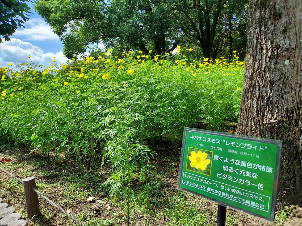 木曽三川公園センター