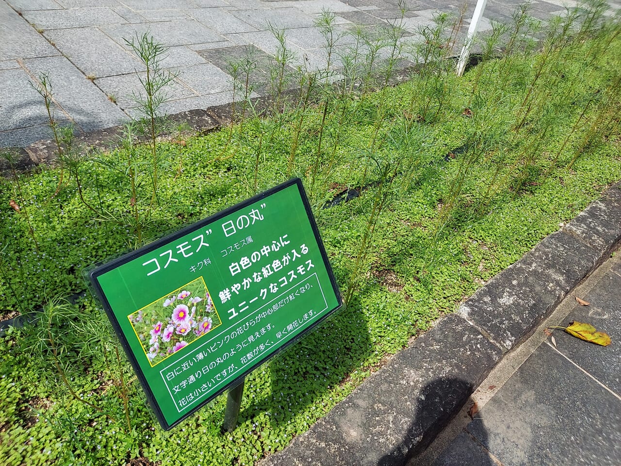 木曽三川公園センター