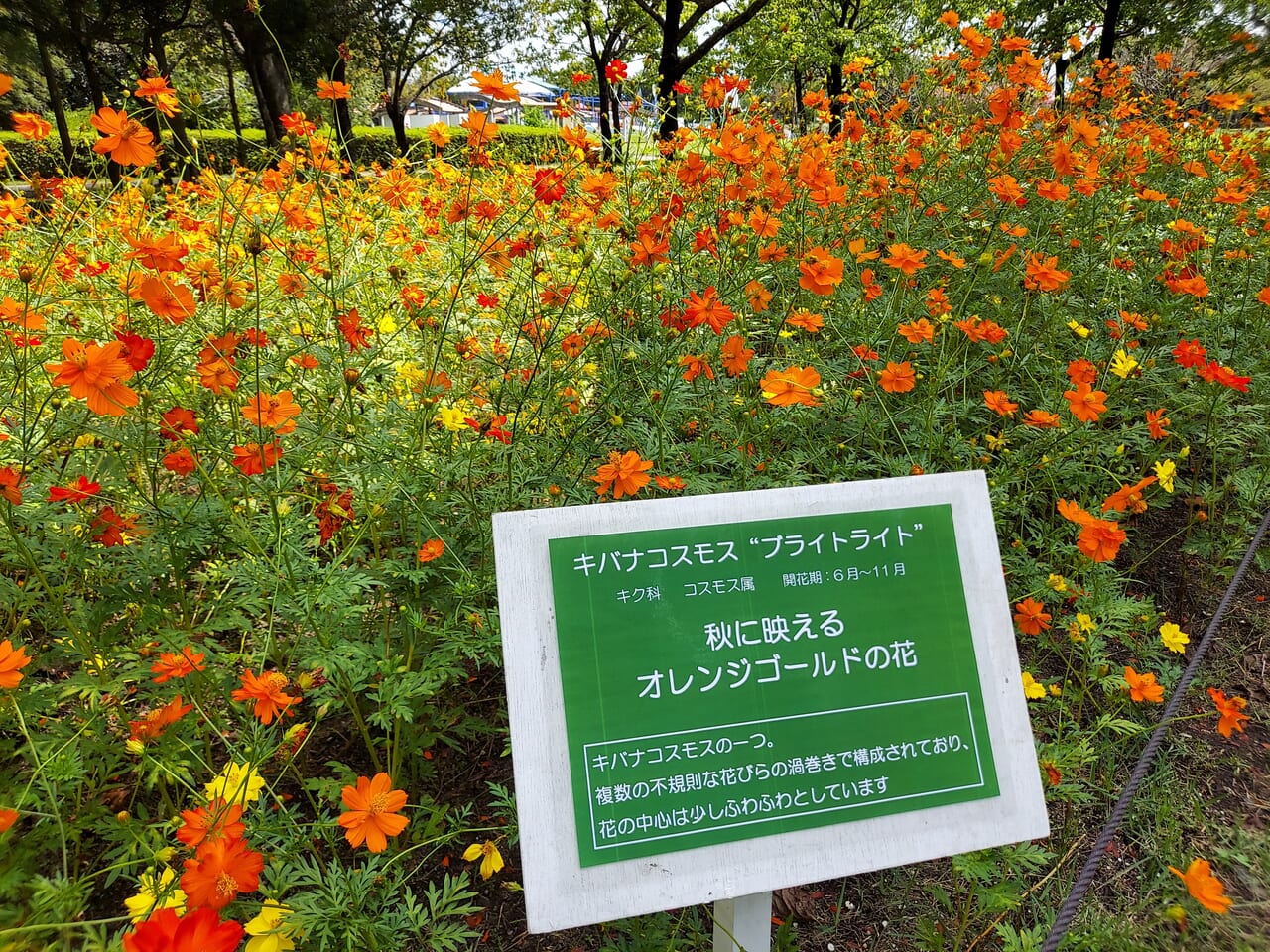 木曽三川公園センター