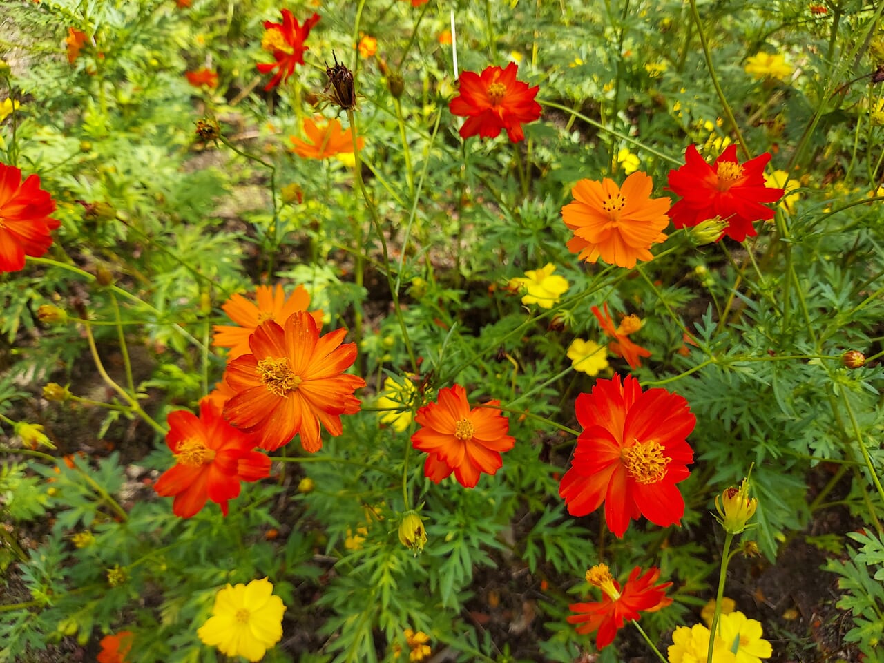 木曽三川公園センター