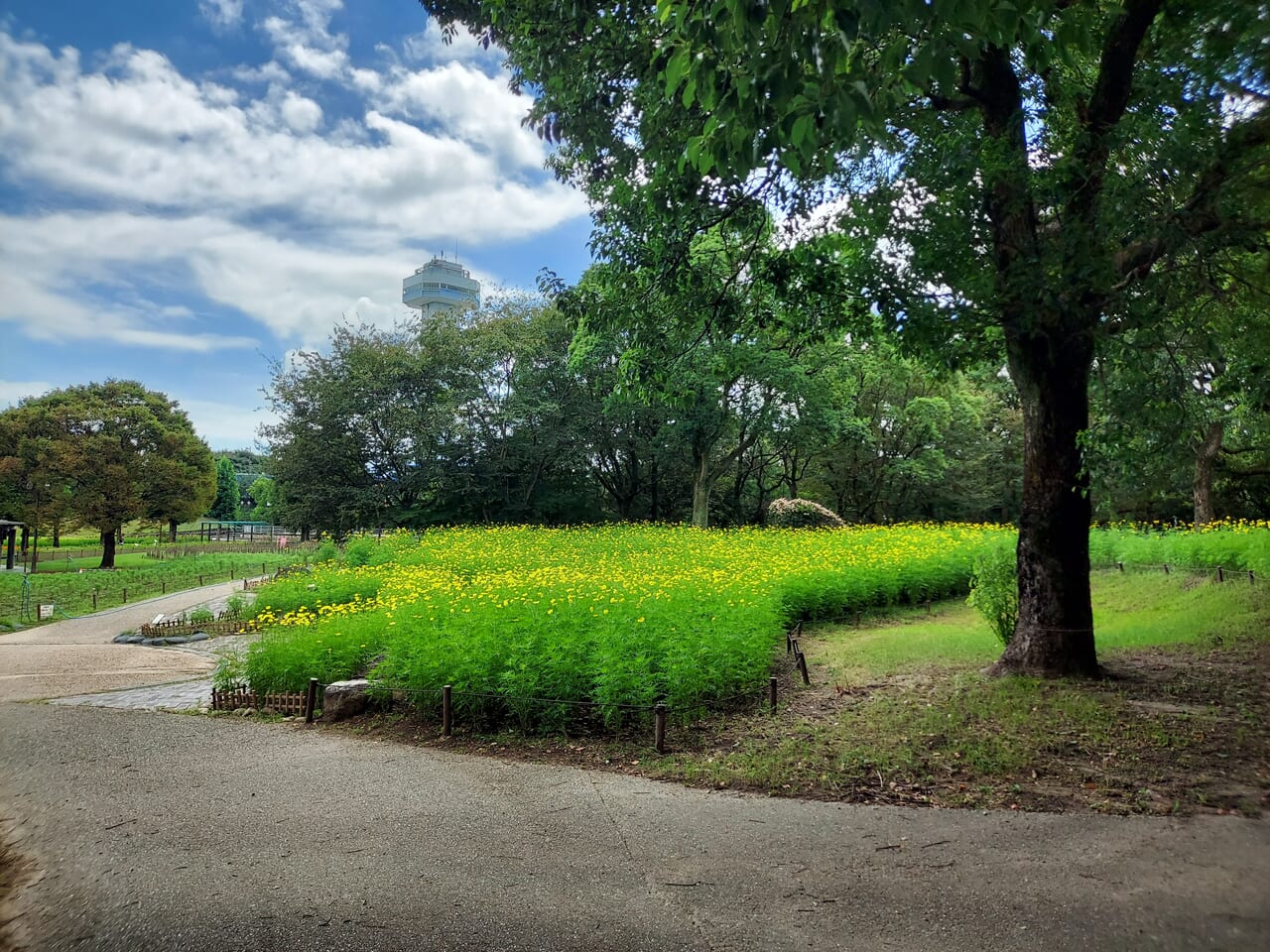 木曽三川公園センター