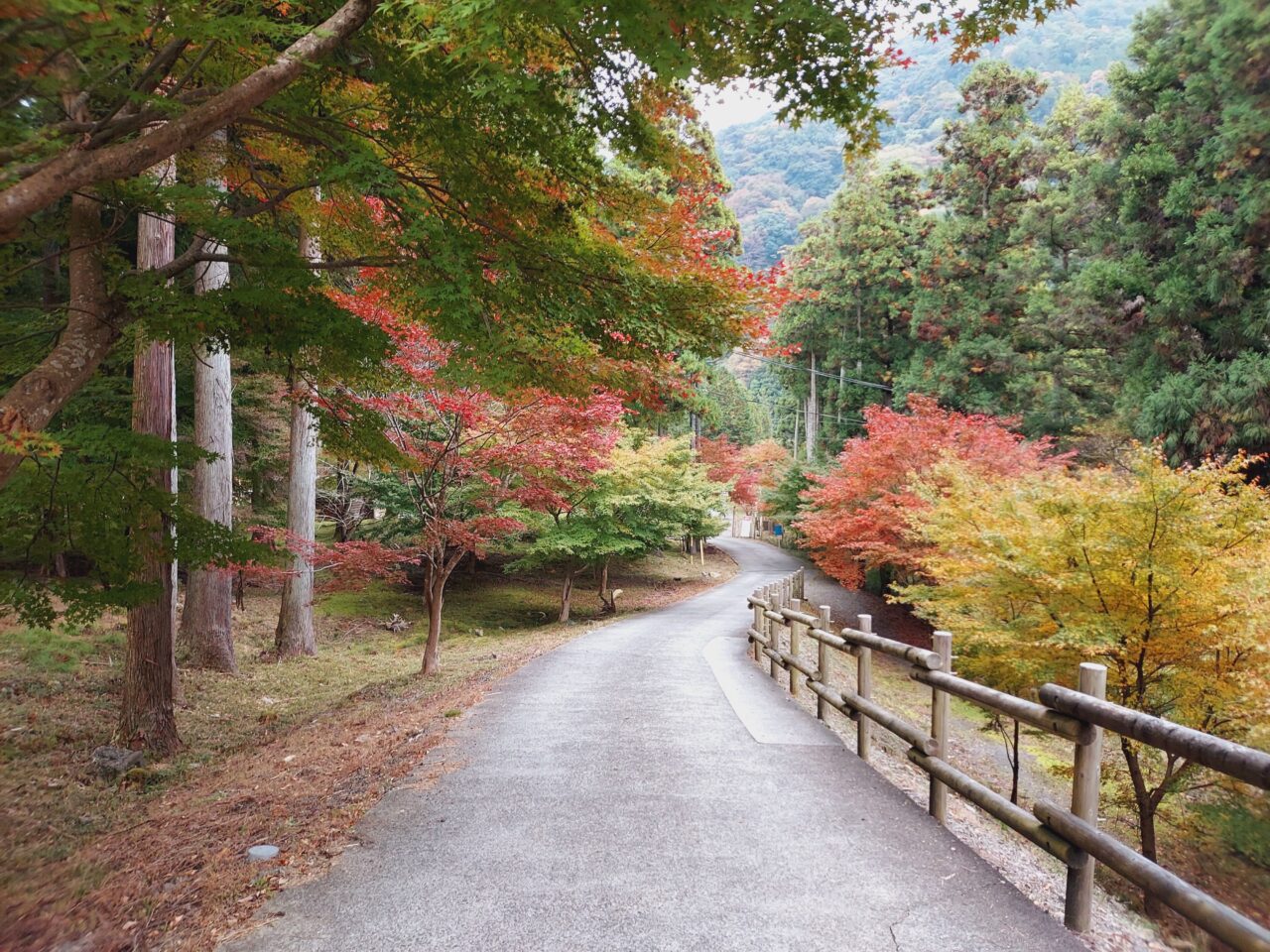 多良峡森林公園