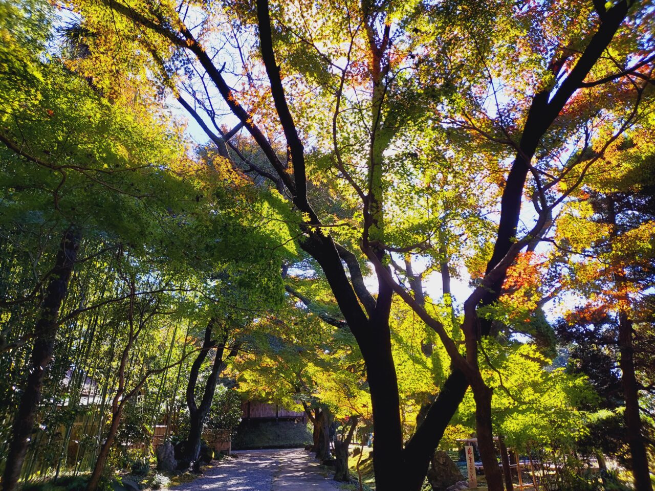 お茶屋屋敷跡