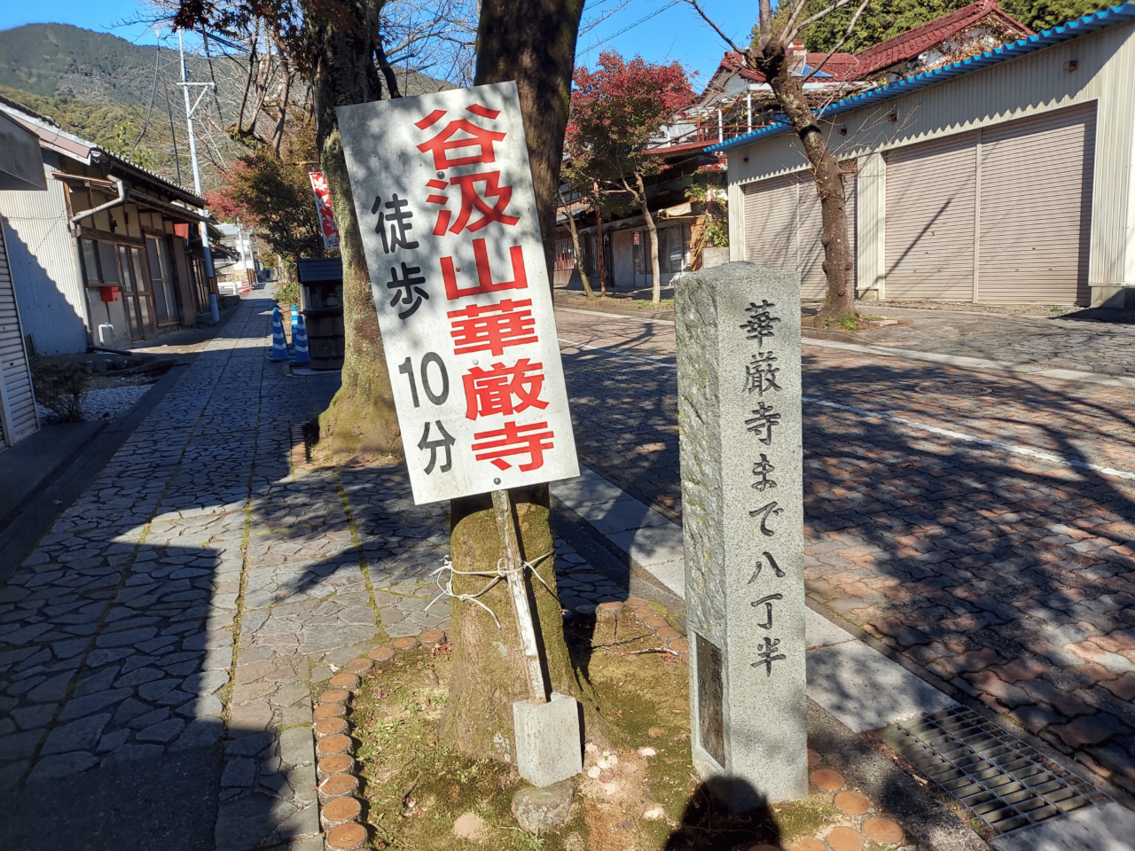 谷汲山華厳寺紅葉