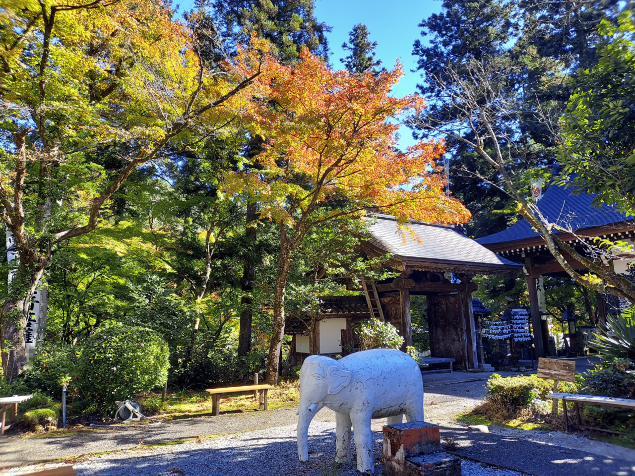 谷汲山華厳寺紅葉