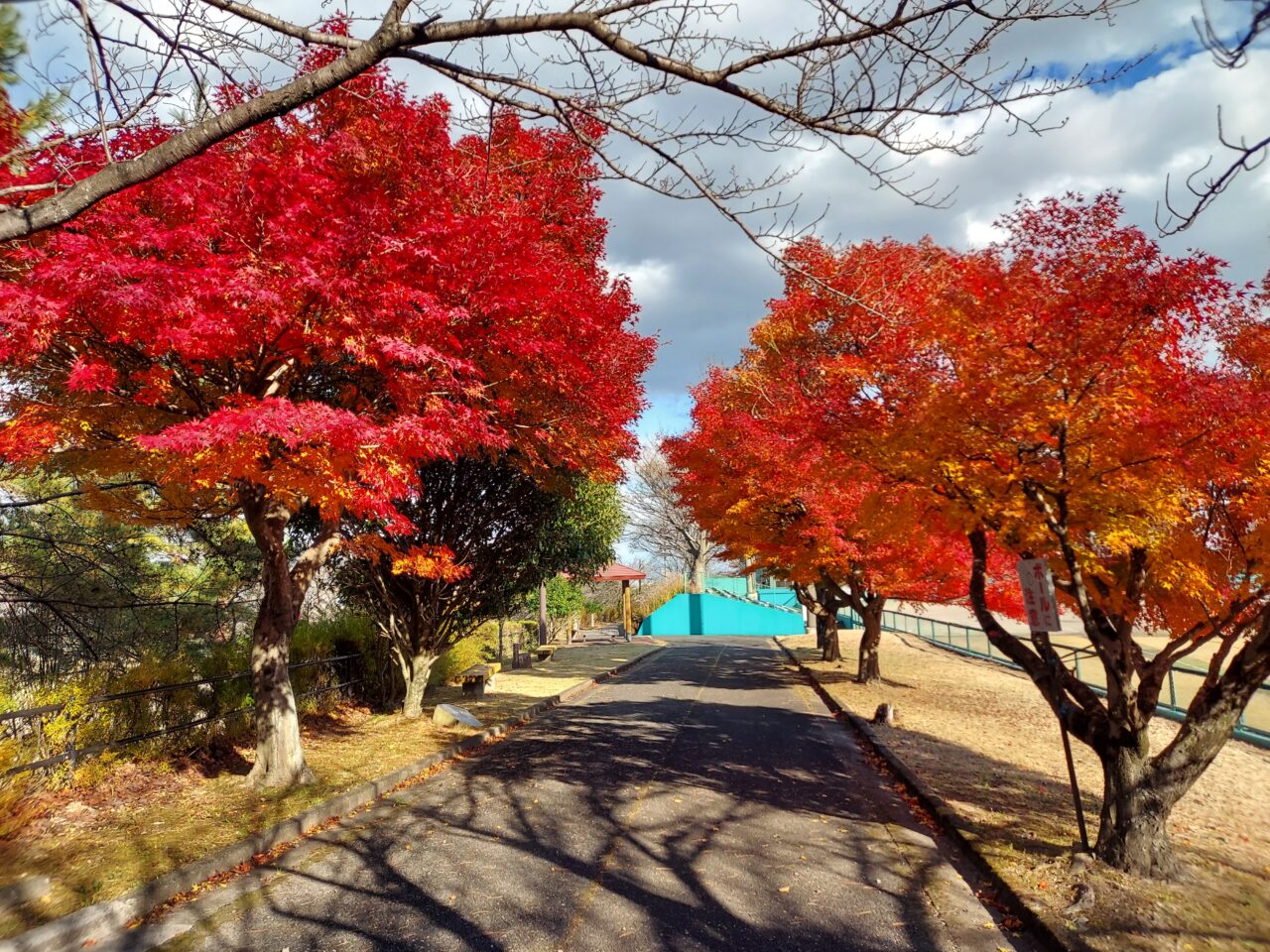 朝倉運動公園