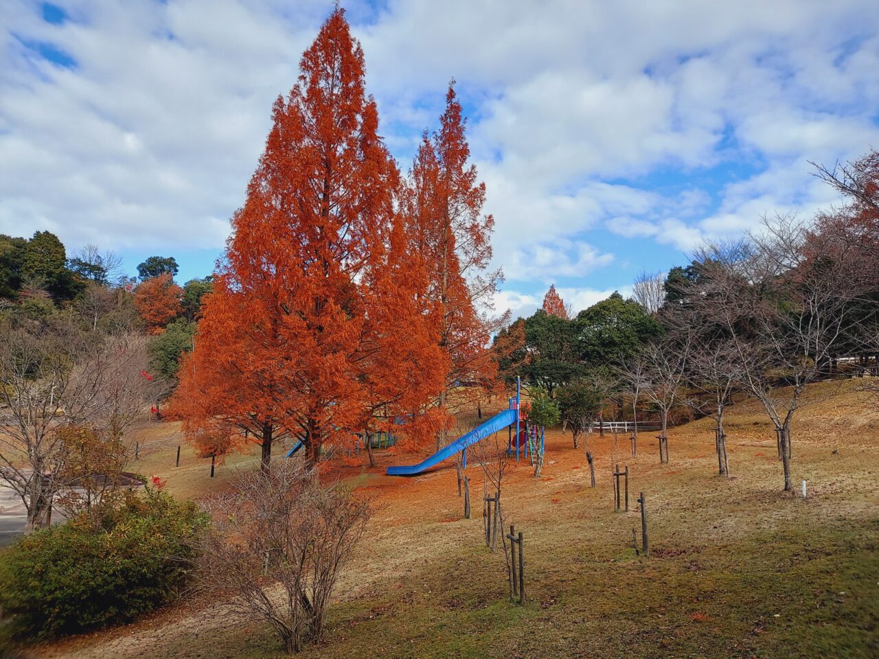 大垣市かみいしづ緑の村公園