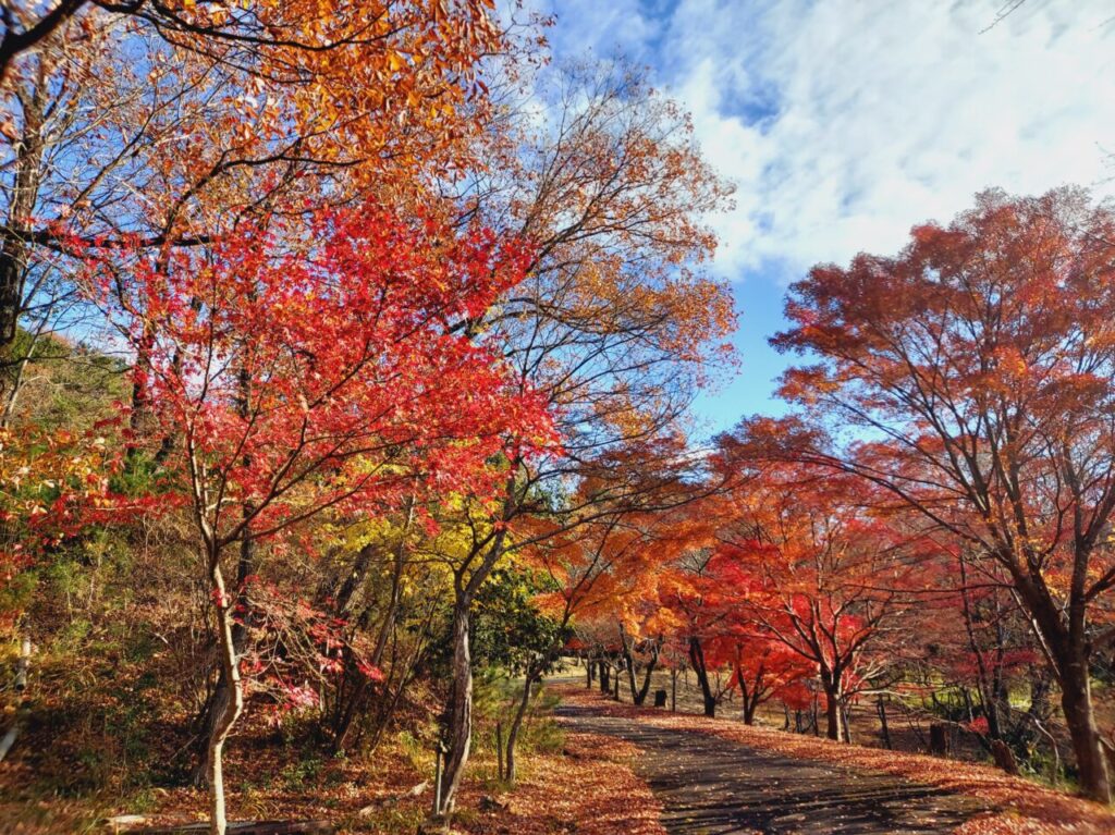 大垣市かみいしづ緑の村公園