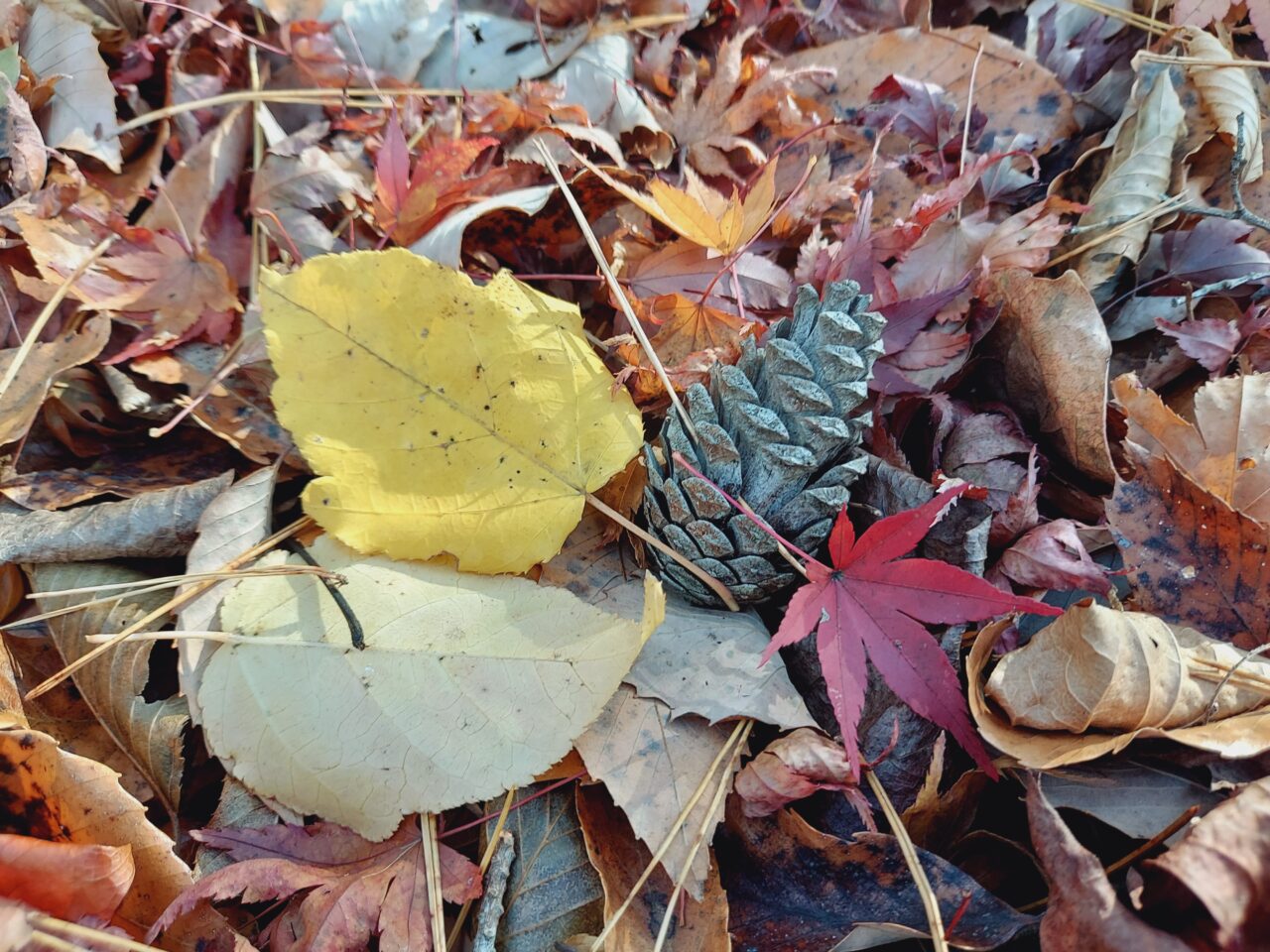 大垣市かみいしづ緑の村公園