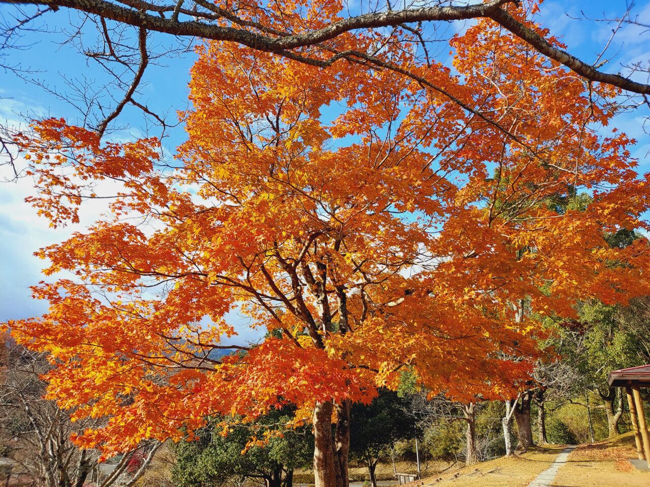 大垣市かみいしづ緑の村公園