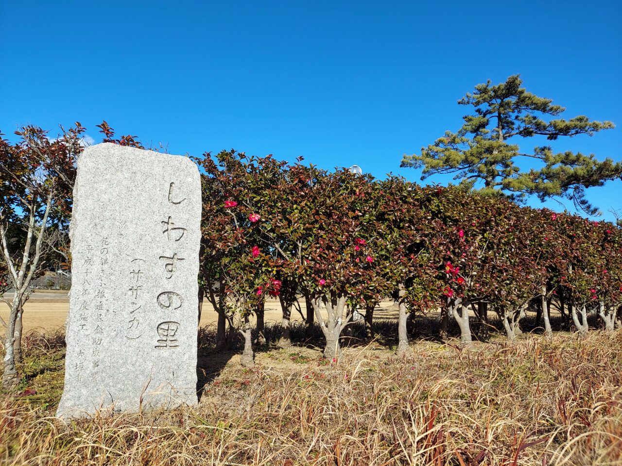 史跡美濃国分寺跡