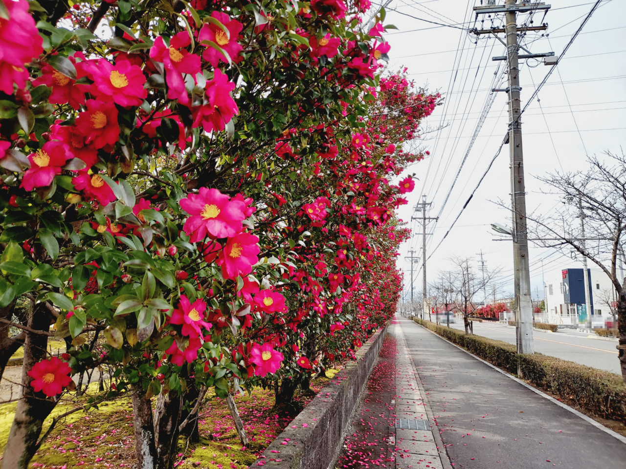 三城公園