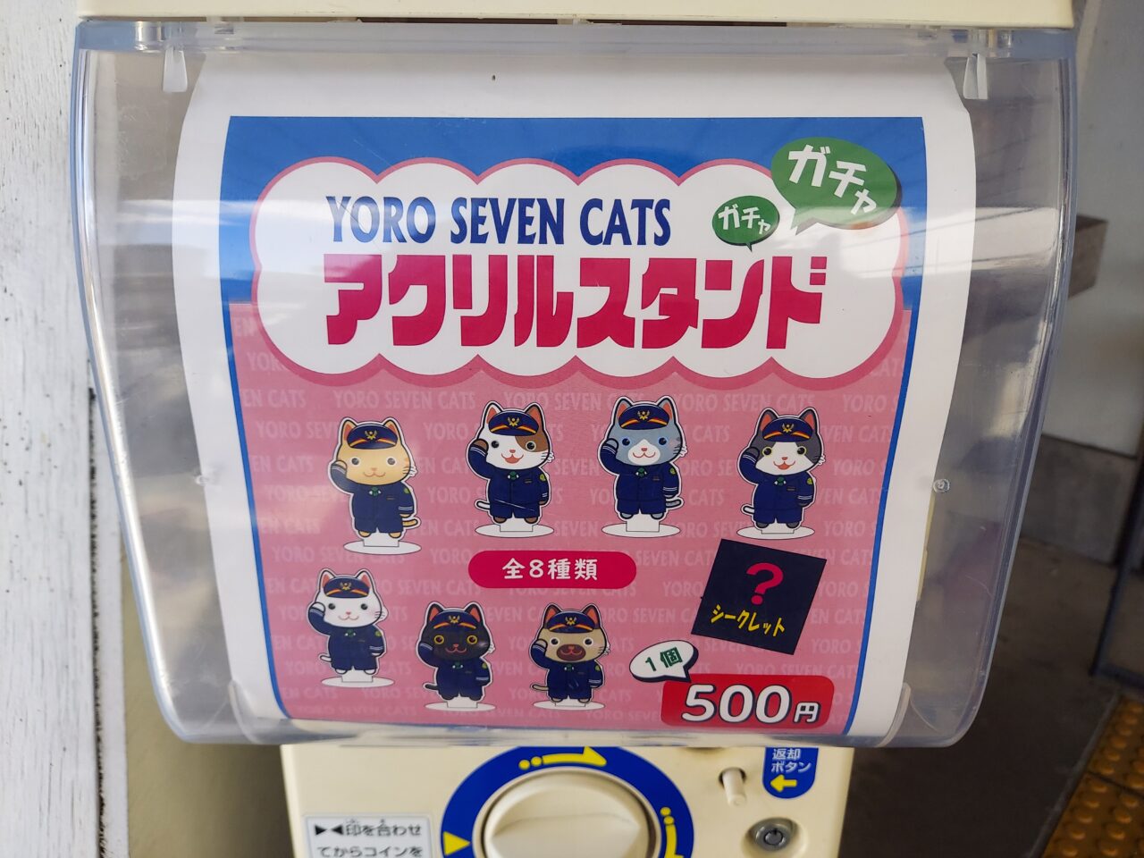 YORO SEVEN CATS