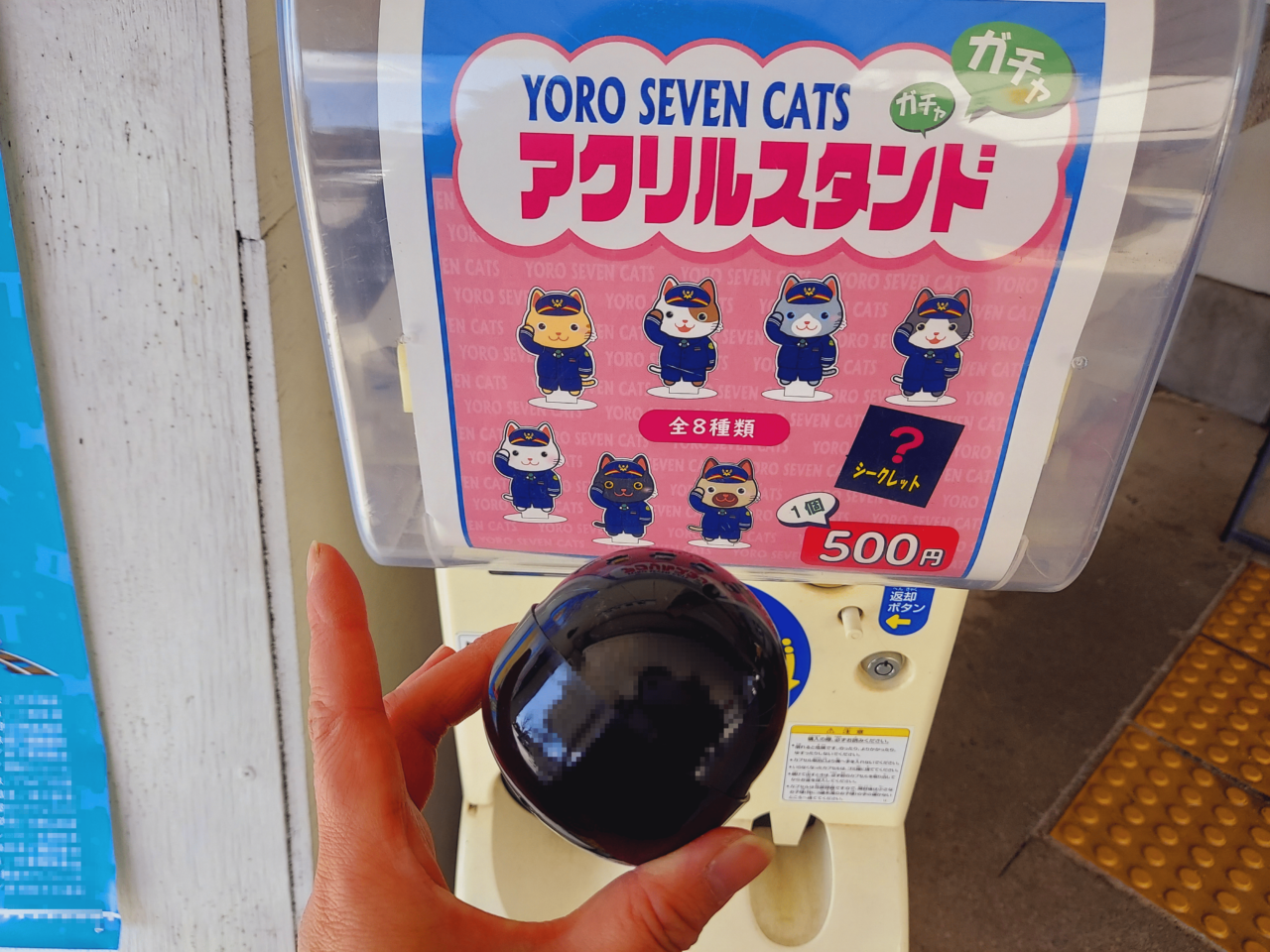 YORO SEVEN CATS