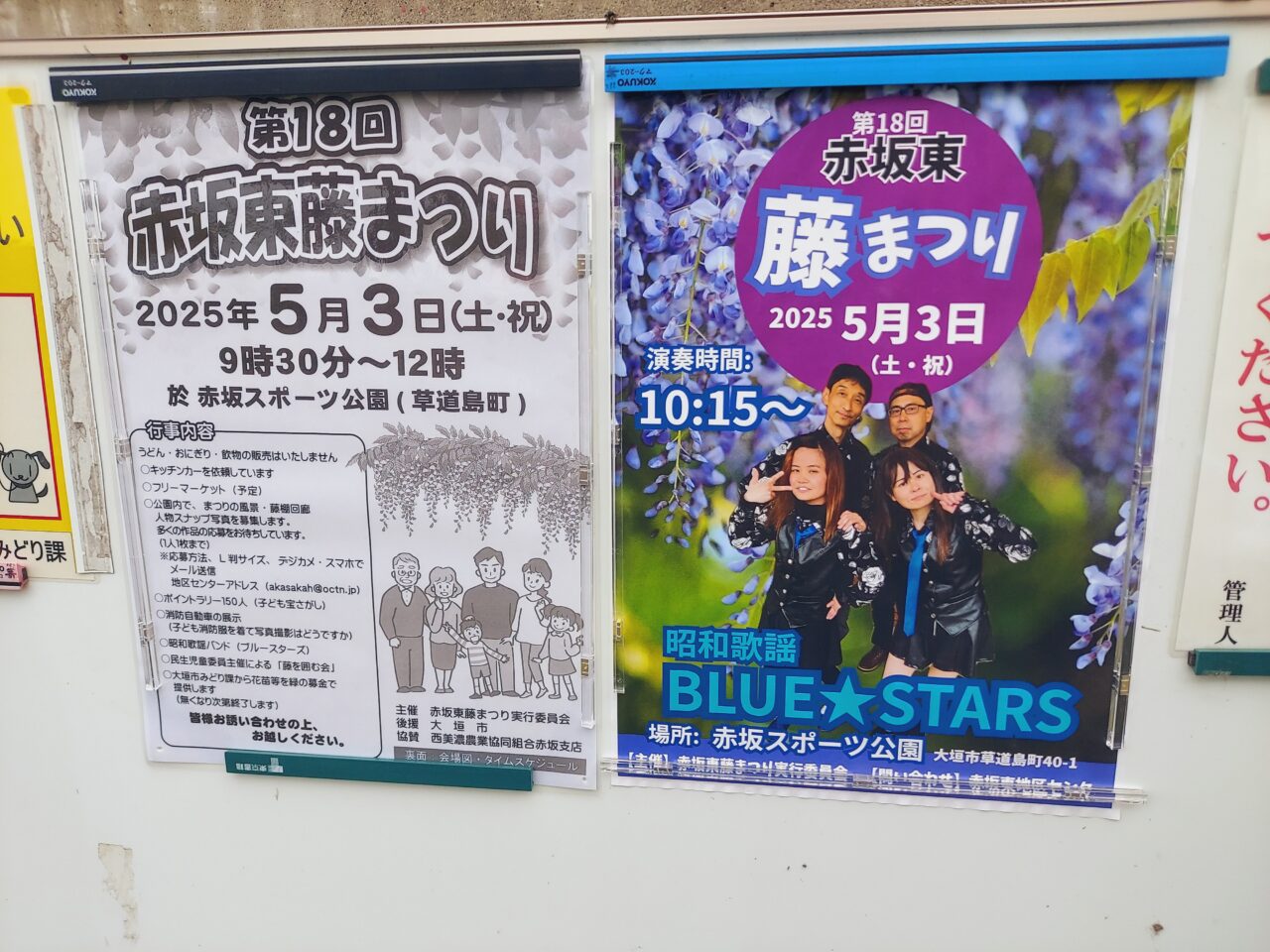 赤坂スポーツ公園藤棚