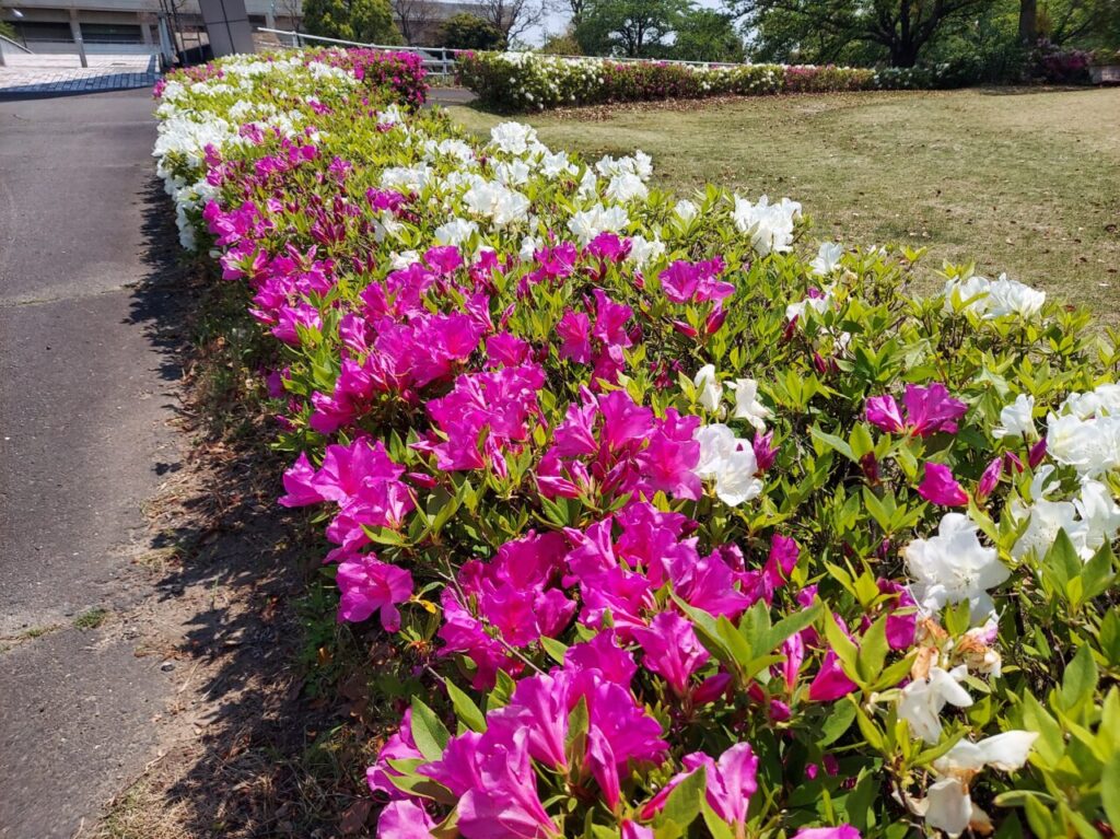 浅中公園