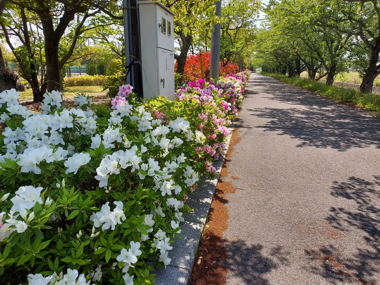 浅中公園