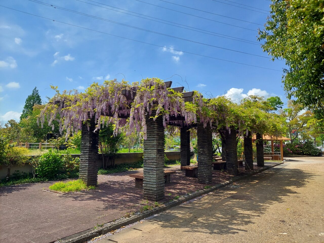 三城公園