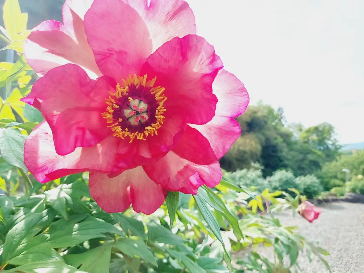 かみいしづ緑の村公園