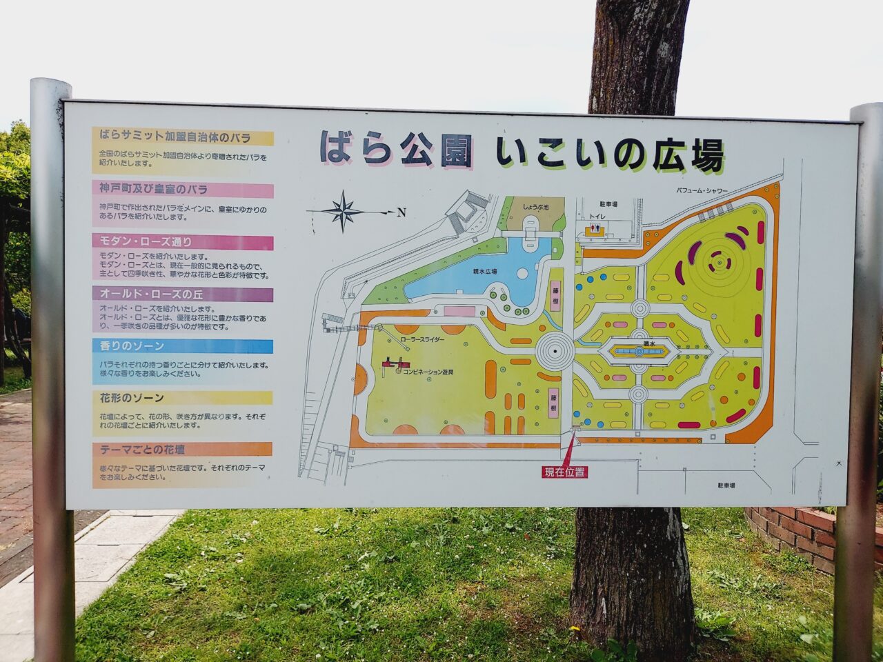 ばら公園いこいの広場