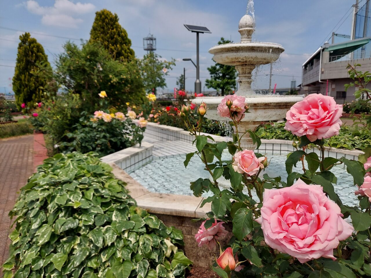 ばら公園いこいの広場