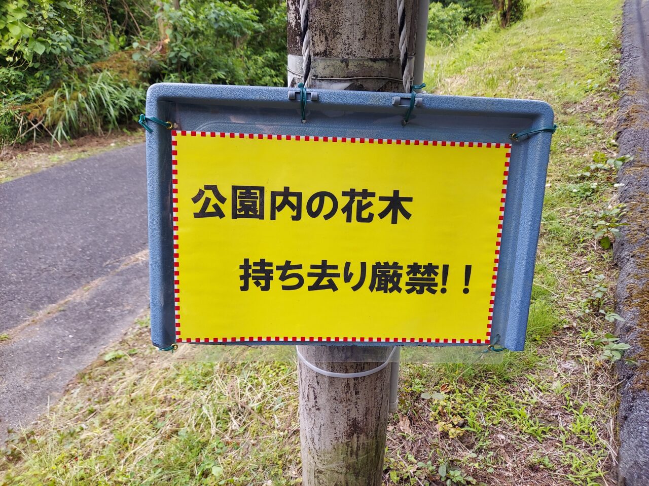 月見の森