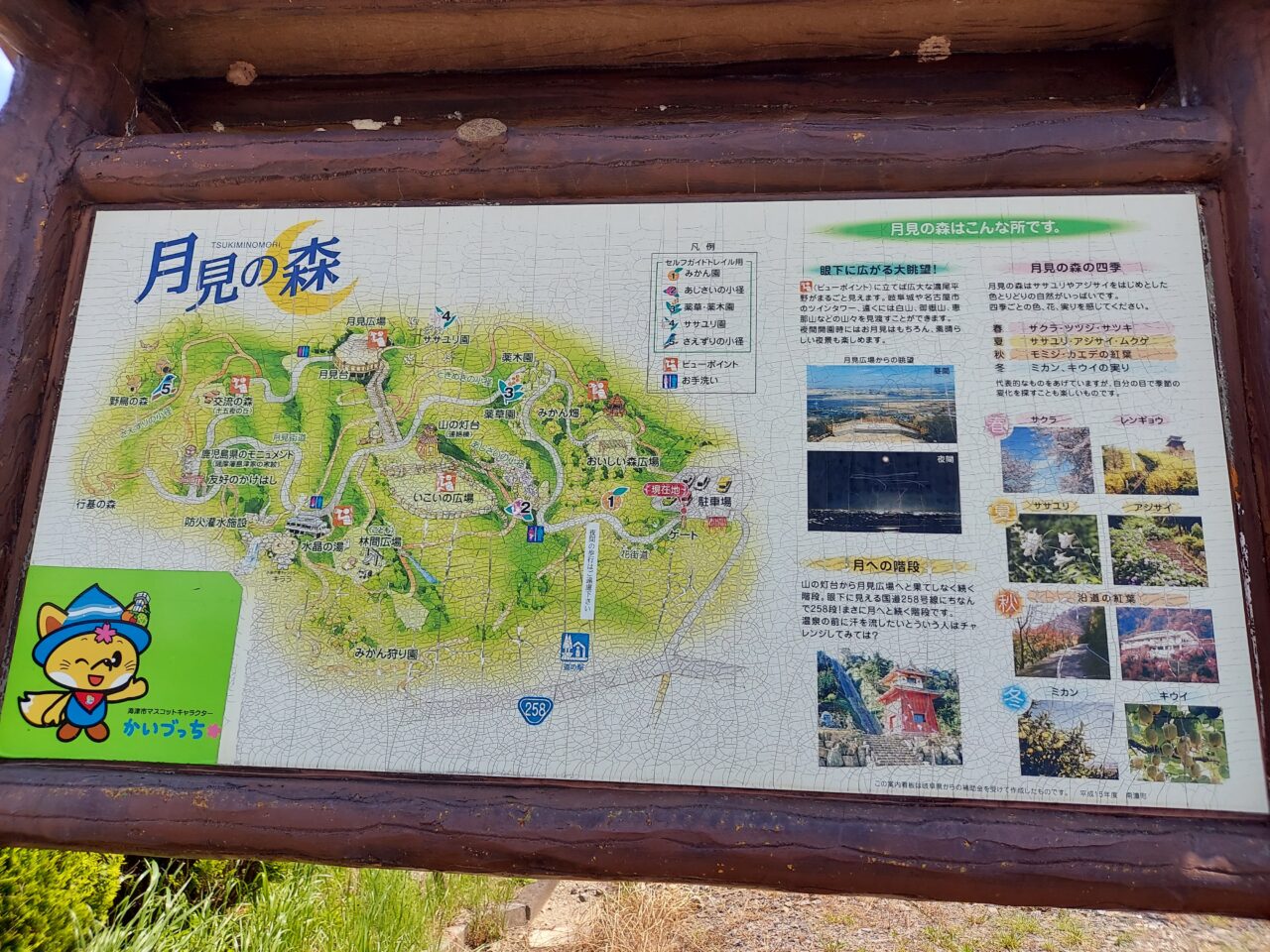 月見の森