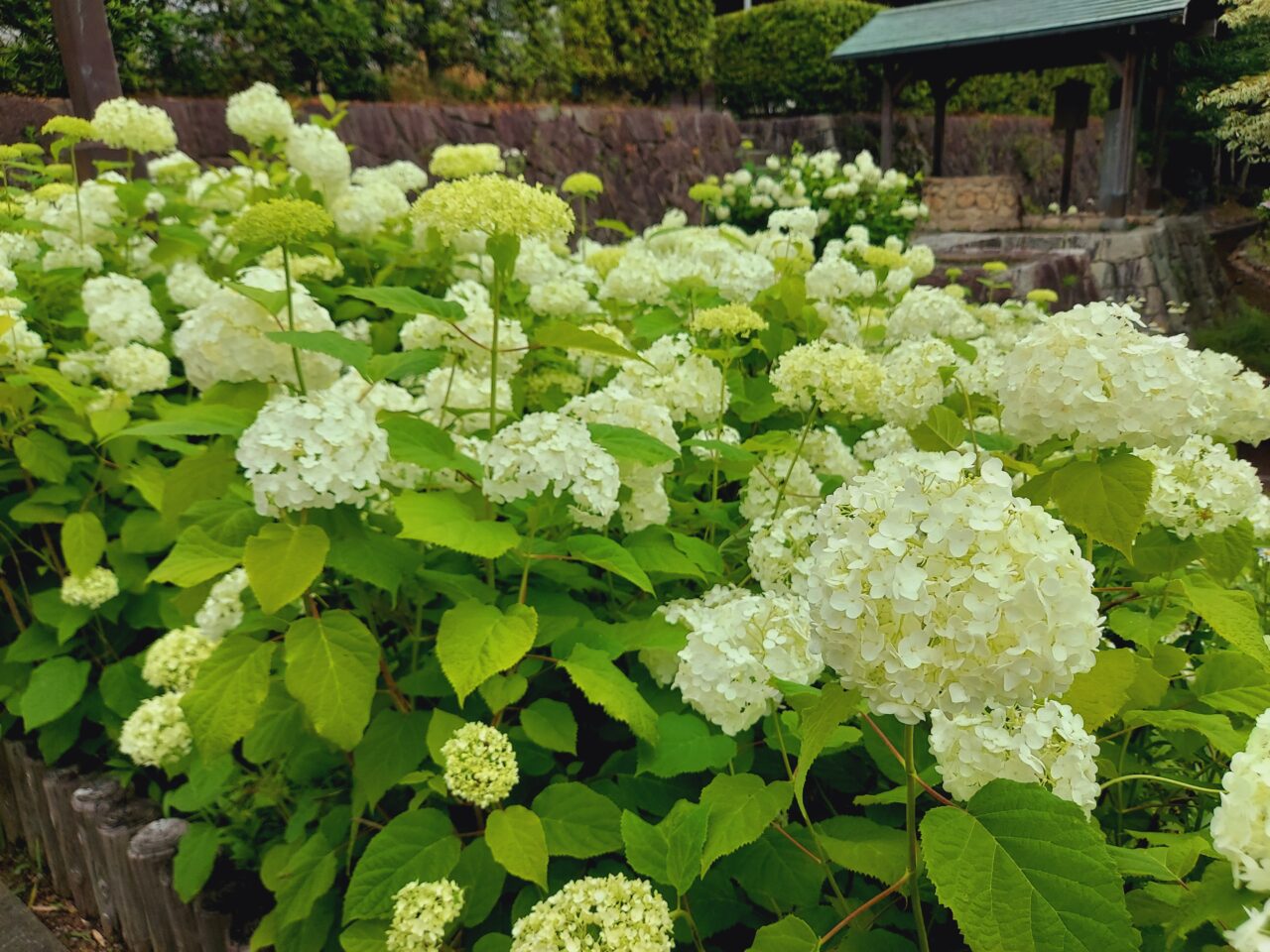 木曽三川公園センター