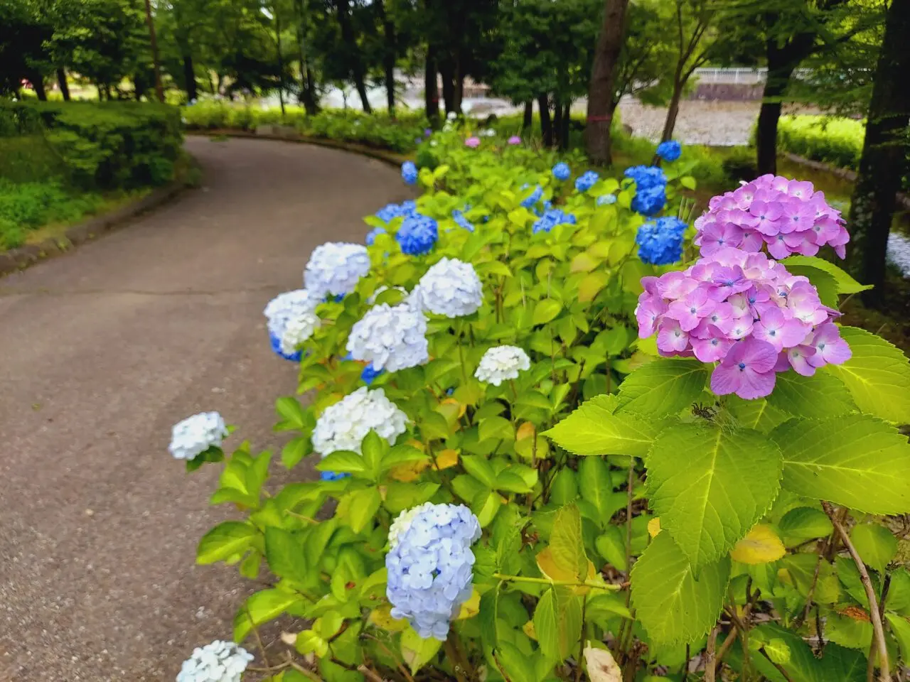 木曽三川公園センター