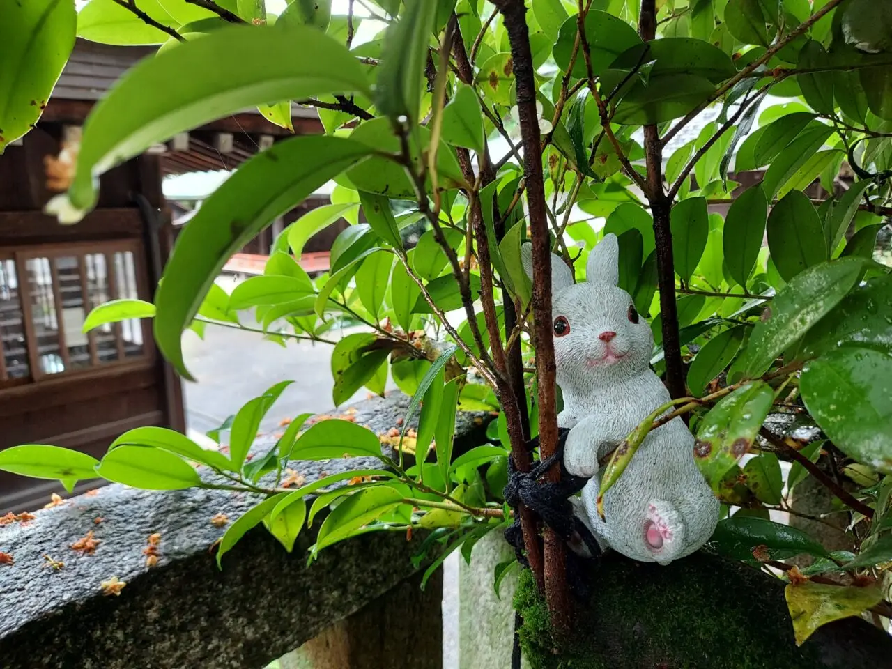 三輪神社