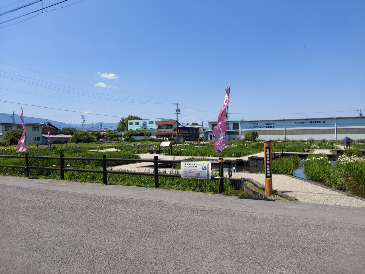 曽根城公園花しょうぶ